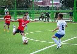 辛历克大乐,透期号专家,推荐,开云后台,后台系统入口,平台管理系统,后台管理平台,系统服务中心